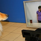 Image for article titled Best of the Week: December 30-January 6, 2012
